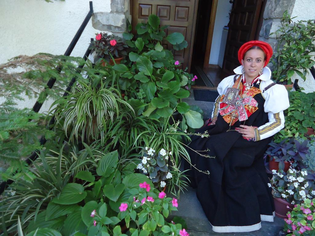 Casa Ursula Affittacamere Ansó Esterno foto